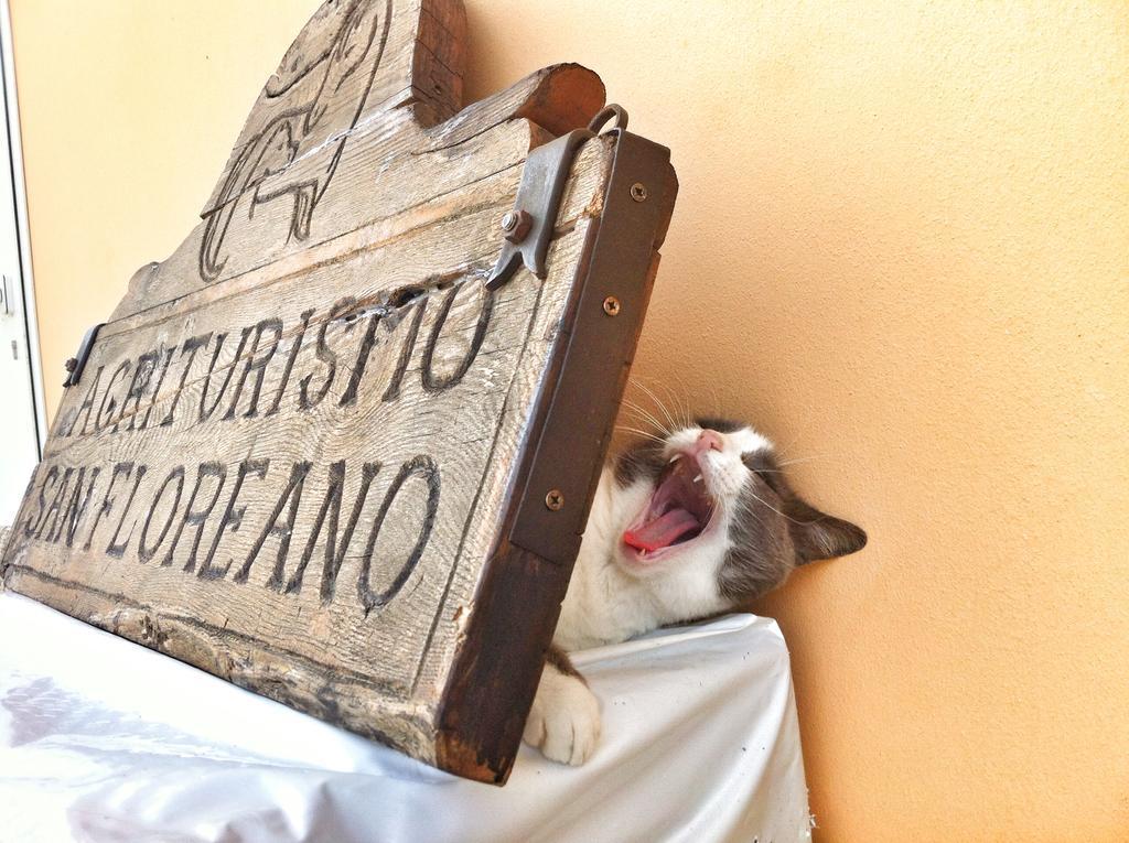 Agriturismo San Floreano Buia Zewnętrze zdjęcie