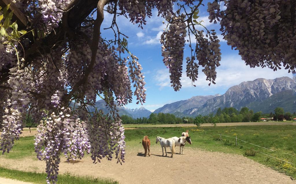 Agriturismo San Floreano Buia Zewnętrze zdjęcie